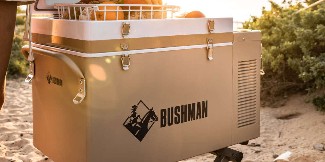 Bushman